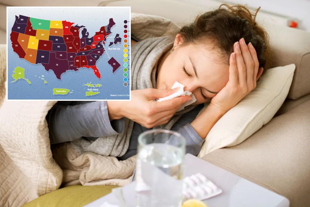 Influenza cases are higher in these US states: View map